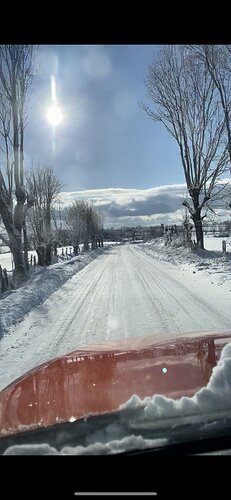 IMG_7331