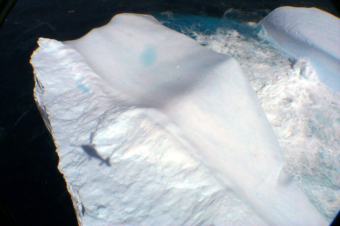 P0009308