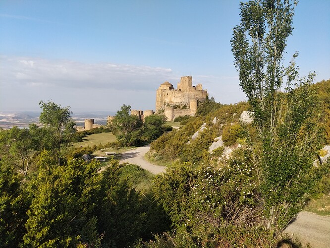 Chateau de Loarre 2