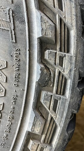 IMG_E6954