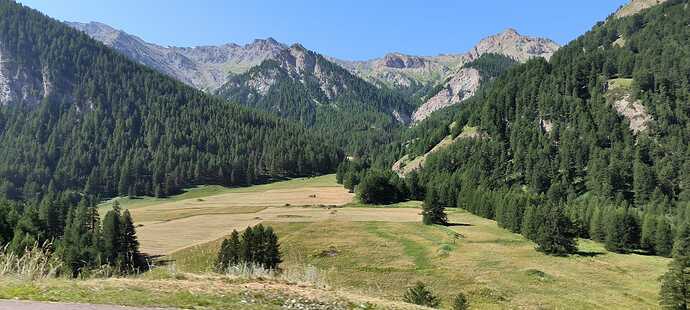 IMG-20240729-WA0006