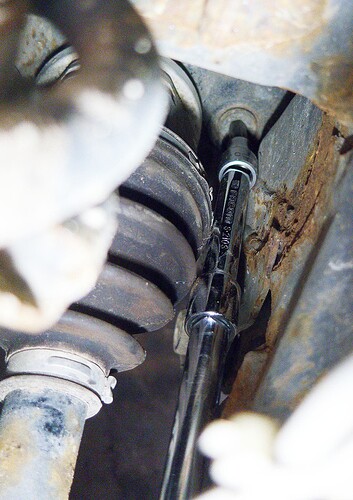 IMG_4686_DxO_web crop