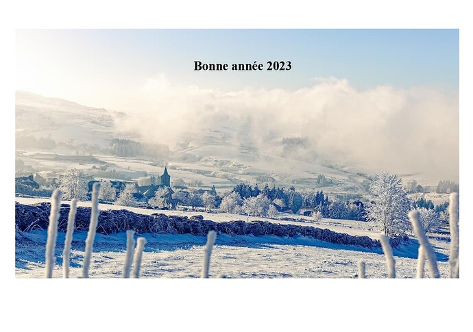 Voeux2023Ford_page-0001