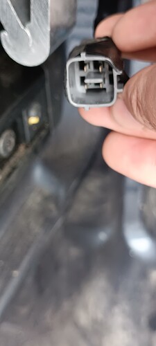 IMG_20230919_152651