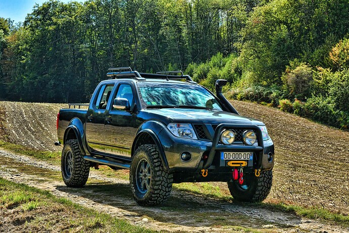 navara D40