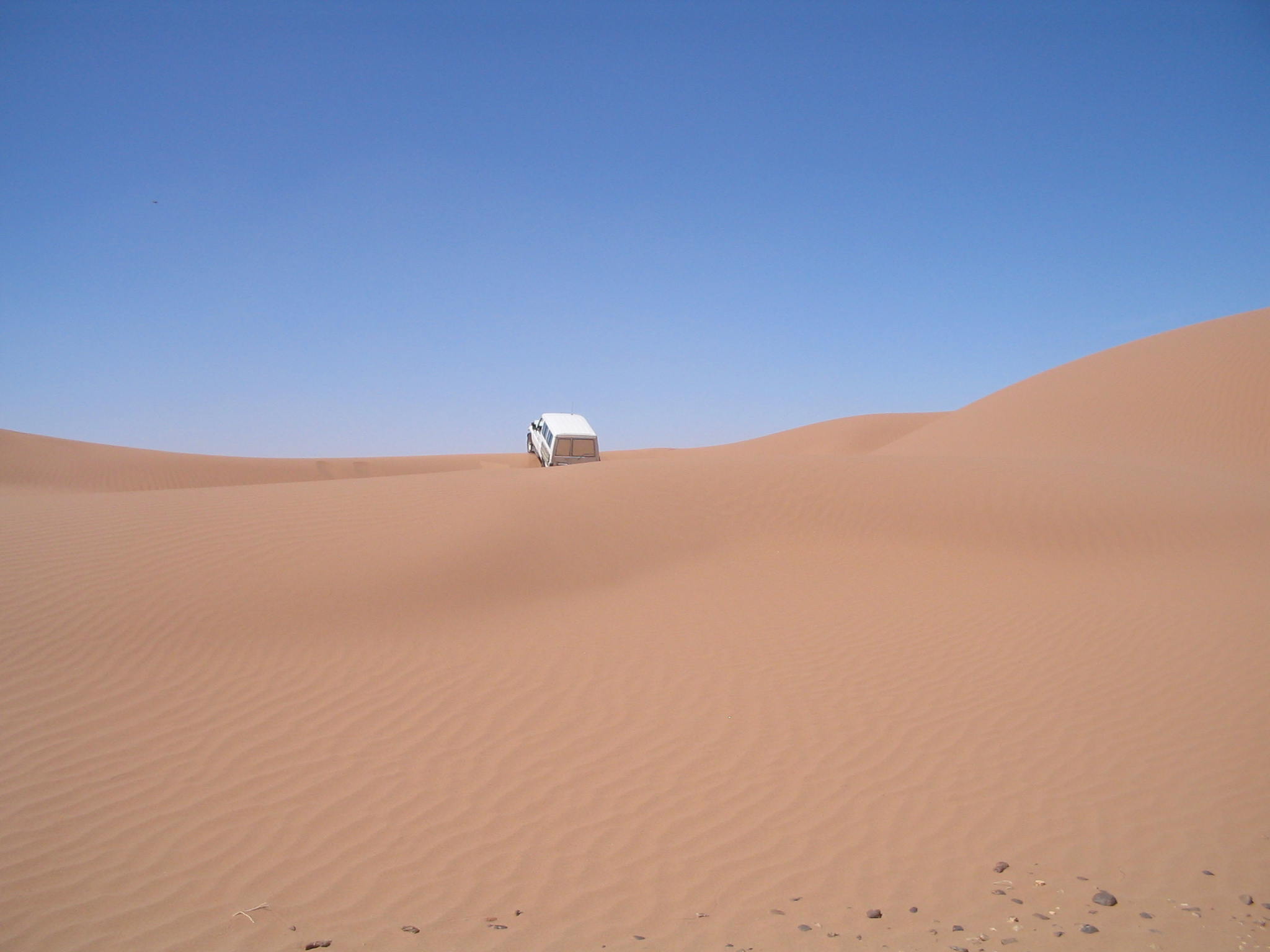 Copie de IMG_9162.jpg