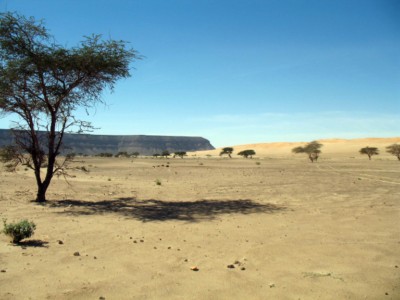 Mauritanie  2010281 [1600x1200].jpg