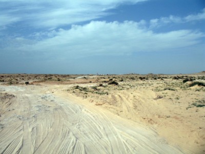 Mauritanie 2010031 [1600x1200].jpg