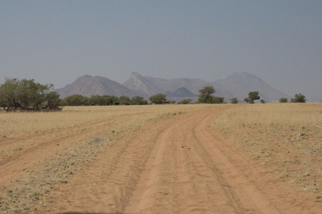 05.jpg