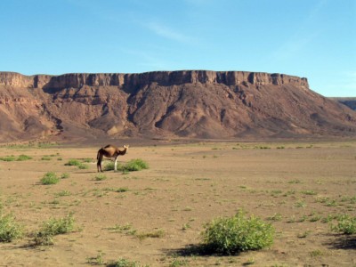 Mauritanie  2010284 [1600x1200].jpg