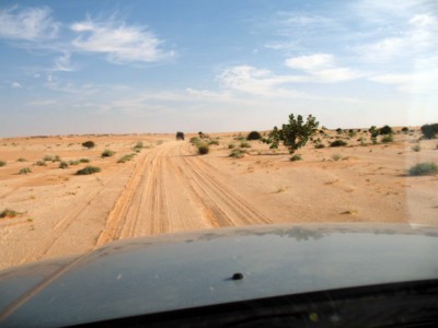 Mauritanie 2010056 [1600x1200].jpg