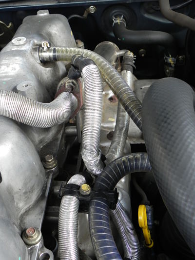 DSCN4235_opt.jpg