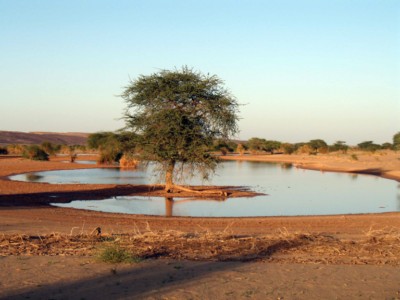 Mauritanie  2010159 [1600x1200].jpg