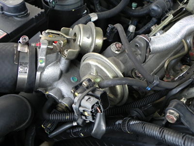 DSCN4233_opt.jpg