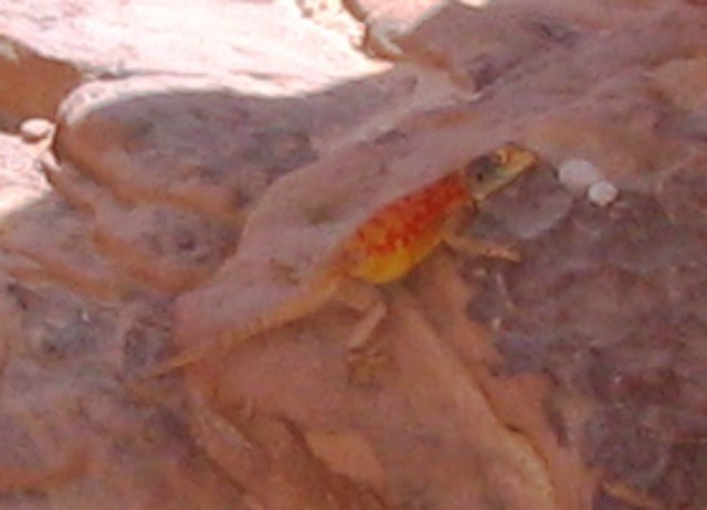 IMG_9207.JPG