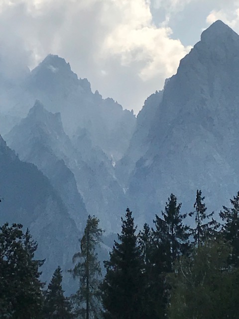 IMG_3130.jpg