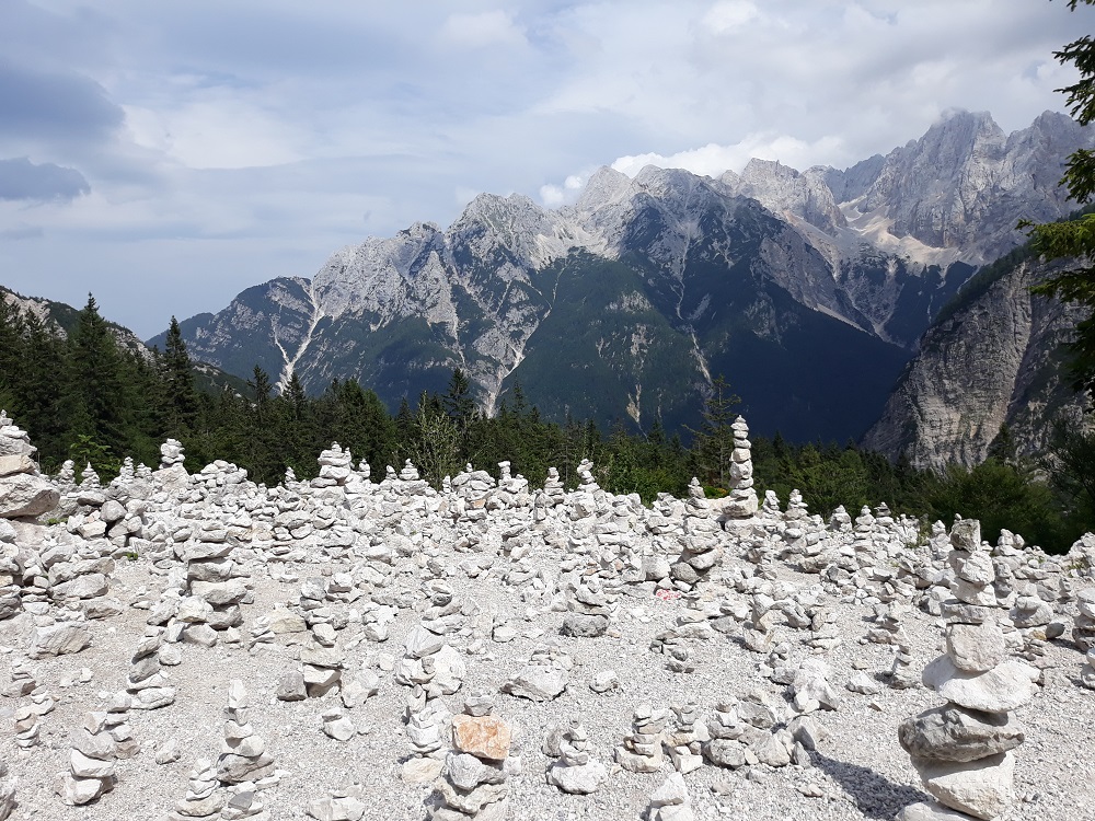 20190807_151046.jpg