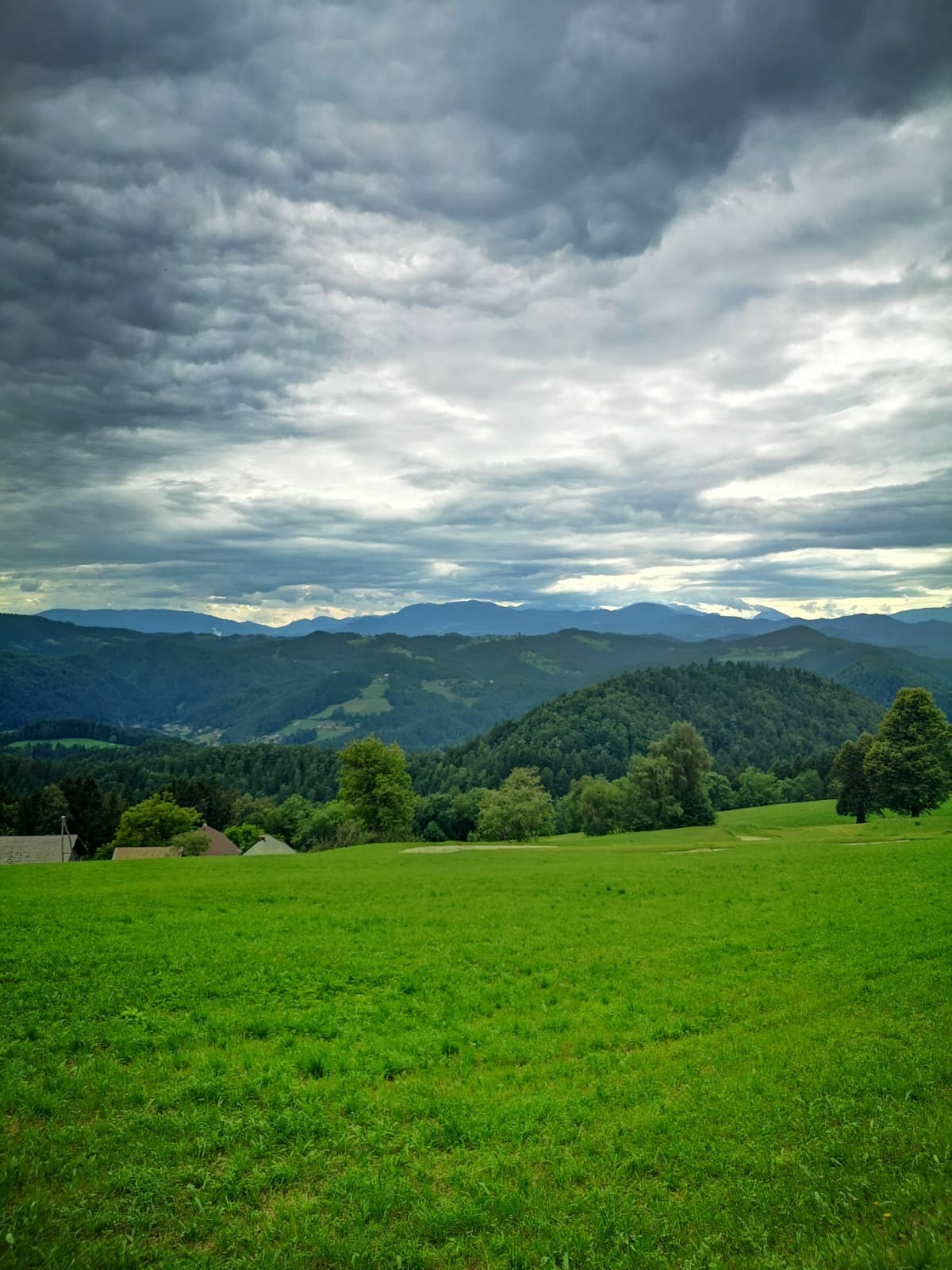 IMG-20190816-WA0009.jpg