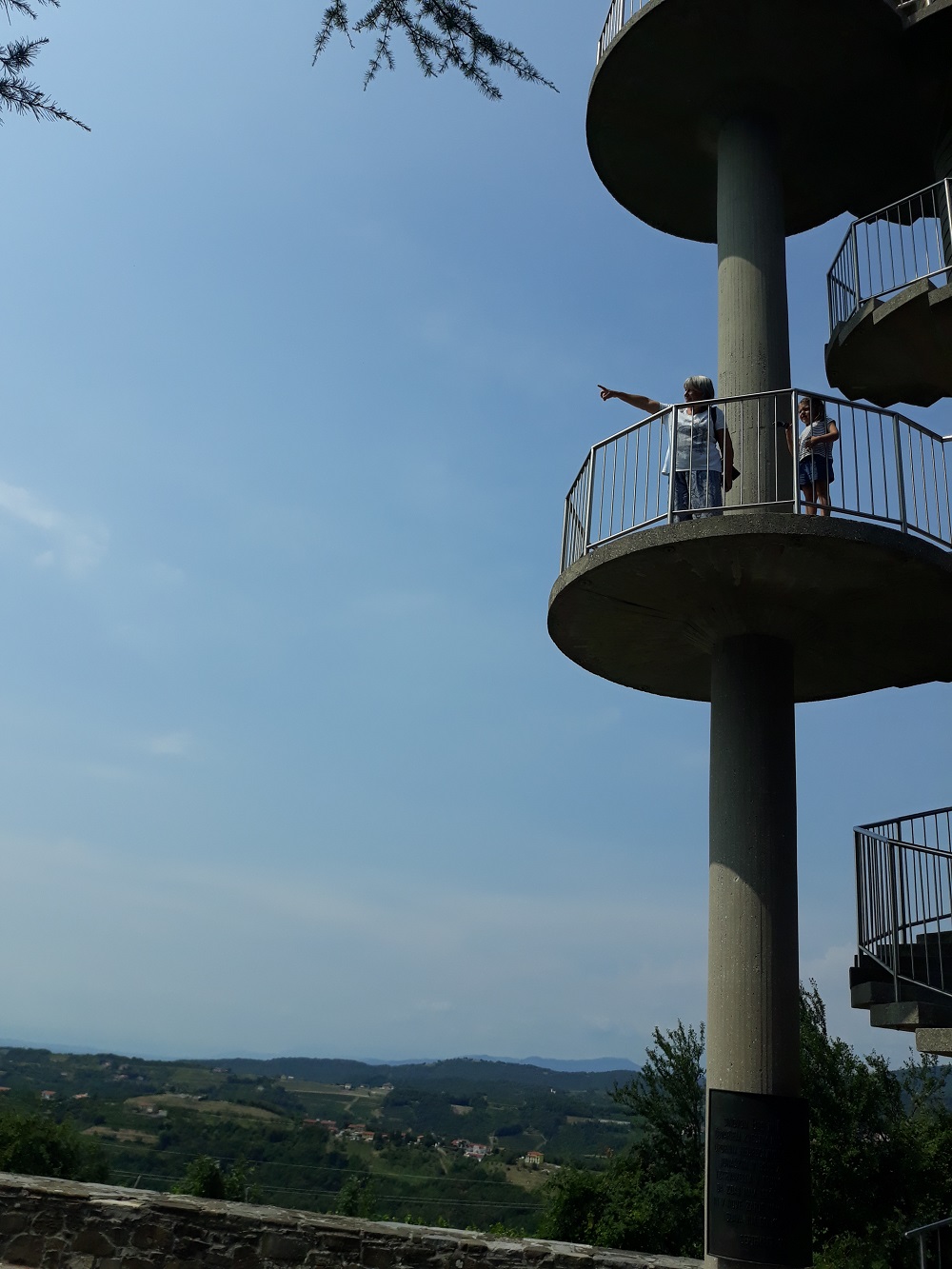 20190806_144421.jpg
